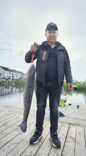 1712391636.png image.png